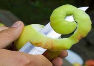 سیب را به این دلیل با پوست بخورید