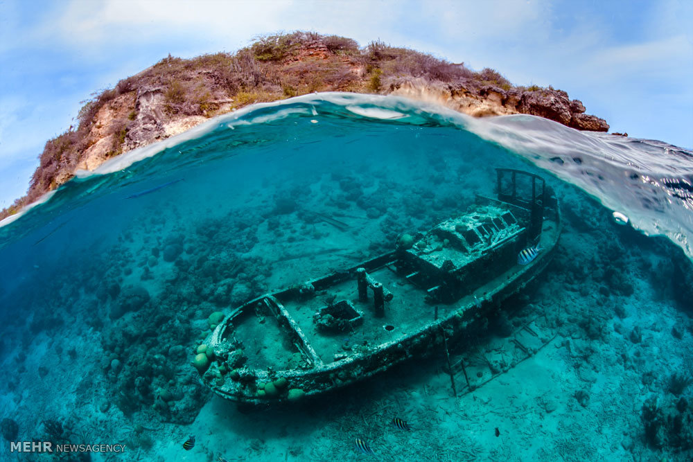 مسابقه عکاسی از دنیای زیر آب