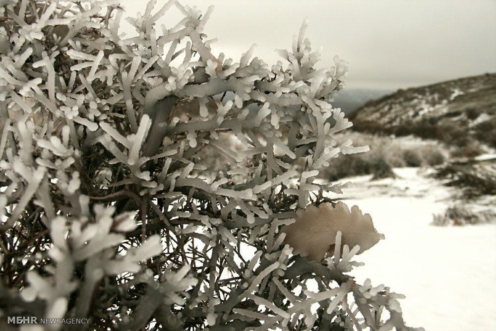 طبیعت زمستانی اردبیل