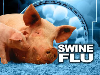 آنفلوآنزای خوکی چیست,آنفلوانزای خوکی
