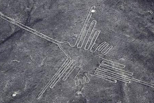 The lines of Nazca desert