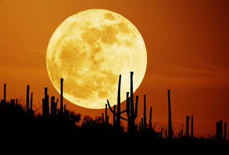 علت وجود ماه,سرعت چرخش زمین پیش از شکل گیری ماه