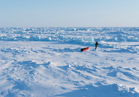 قطب شمال, زندگی در قطب شمال, تصاویر قطب شمال