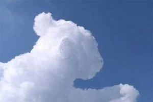 ابرهای جالب در آسمان به شکل حیوانات