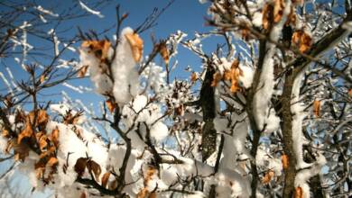 تصاویر طبیعت زمستانی اردبیل