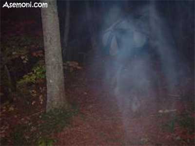 Real-photos-of-ghosts12