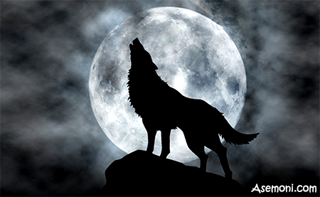whether-human-or-humanoid-wolf-werewolf-there7