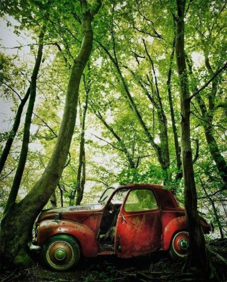 عکس هایی از قبرستان ماشین های قدیمی در جنگل