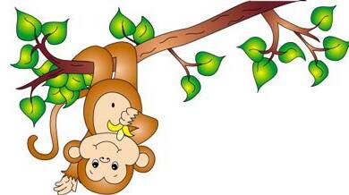 قصه کودکانه میمون بازیگوش