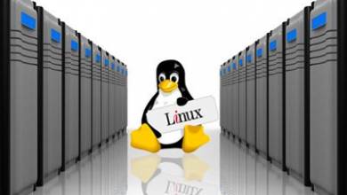 مدیریت فهرست پوشه‌ها در سرورهای لینوکس
