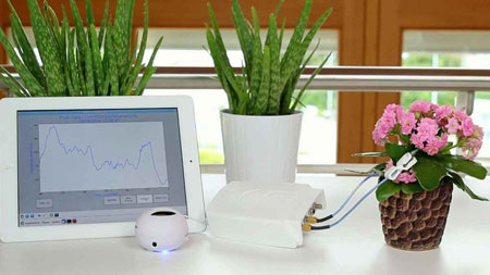 دستگاهی برای صحبت کردن گیاهان,ساخت دستگاهی برای شنیدن صدای گیاهان