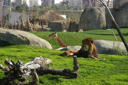 باغ وحش, باغ وحش بیوپارک والنسیا, بهترین باغ وحش های دنیا