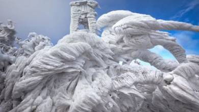 , مجسمه های شگفت انگیز یخ زده (+عکس)