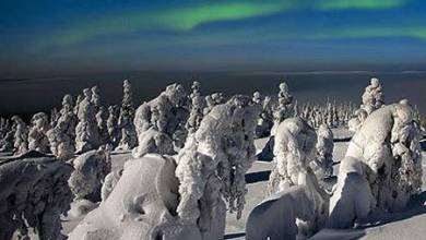 , تصاویری از جنگل یخ زده در فنلاند معروف به زادگاه بابانوئل