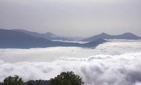 تشکیل جنگل های ابر,زیباترین جنگل‌های ابر
