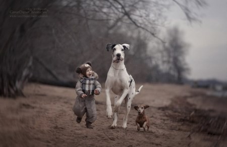 تصاویر زیبا از دوستی بچه ها با سگ های بزرگ و گنده