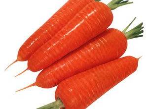 هویج گیاهی خون ساز