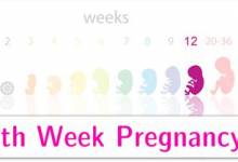 هفته دوازدهم بارداری