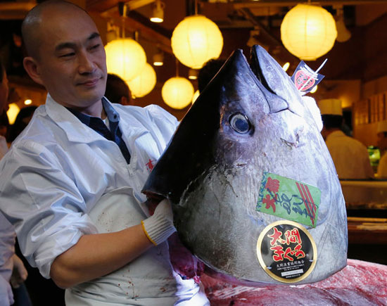 مردی ژاپنی یک ماهی تن را با قیمت عجیب ۲ میلیارد تومان خریداری کرد