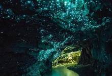 , غارهای درخشان جاذبه گردشگری نیوزلند