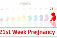 هفته بیست و یکم بارداری