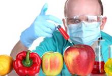 , مزایا و معایب غذاهای اصلاح شده ژنتیکی