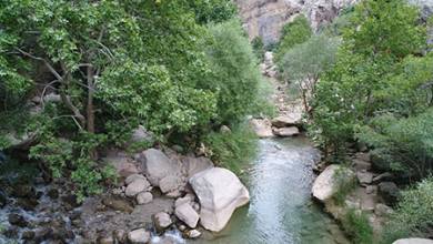 چشمه ناز یکی از بکرترین تفرجگاه های شهرستان سمیرم