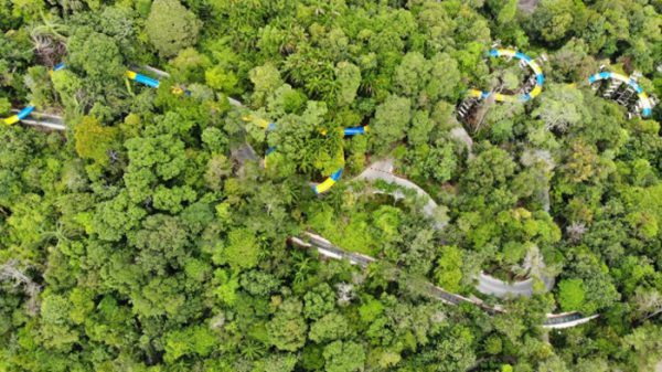 , بلندترین سرسره آبی جهان در جنگل‌های مالزی