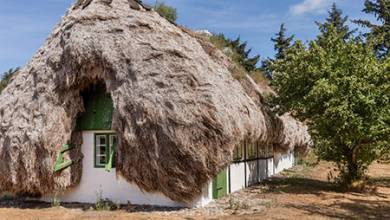 خانه هایی جالب با سقفی از جلبک (+تصاویر)