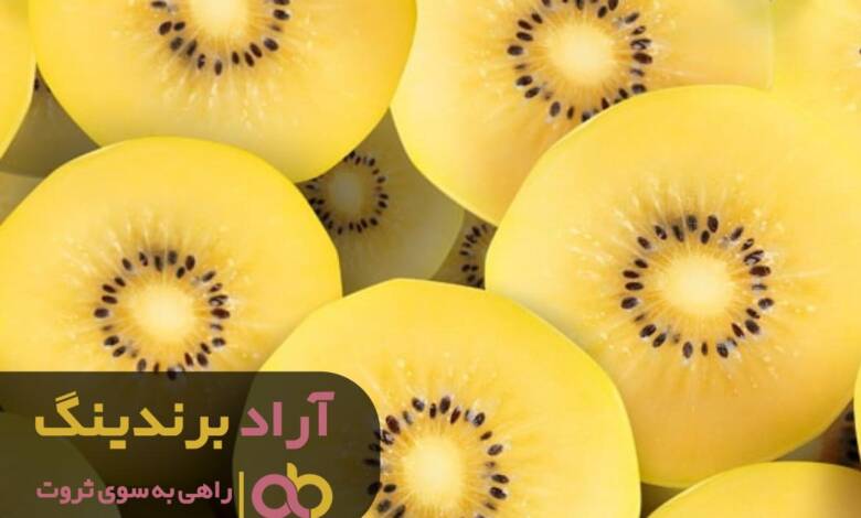 شغل های آنلاین پردرآمد از نظر بازار کار کدامند