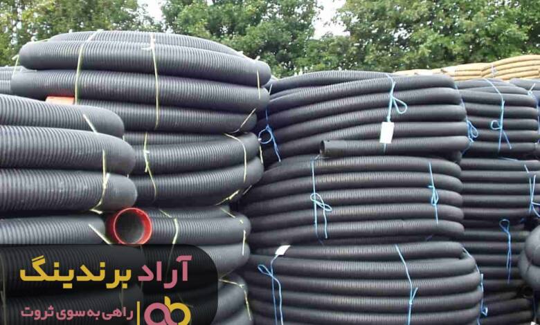 فکر می کنیم برای جذب ثروت باید سرمایه داشته باشیم