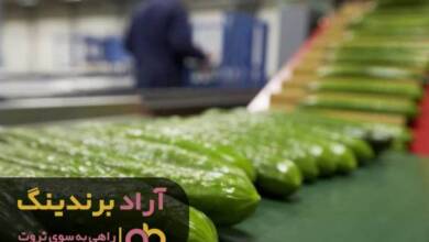 , مزه ثروت را چشیدم