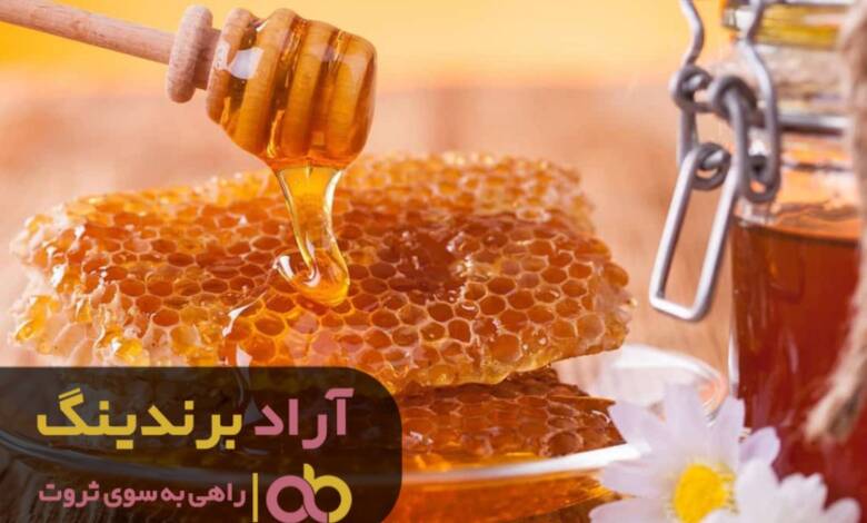 عامل ثروتمند شدن من فقط کسب و کار ایده آلم بود