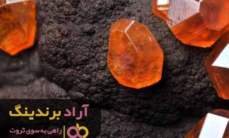 رسیدن به موفقیت را مدیون هوش مالی ام هستم