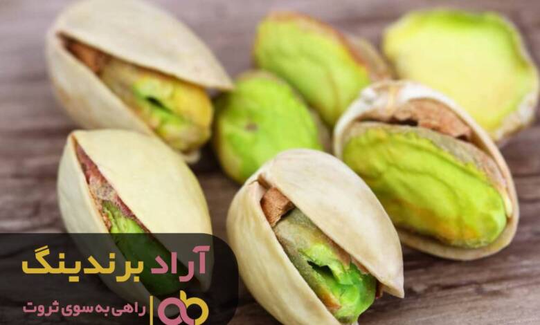 پسته ای که مسیر زندگی ام را تغییر داد