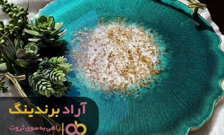 سینی رزین و ساخت یک زندگی رویایی