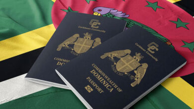 پاسپورت دومینیکا چیست؟ مزایا و راهنمای پرسه دریافت شهروندی دومینیکا